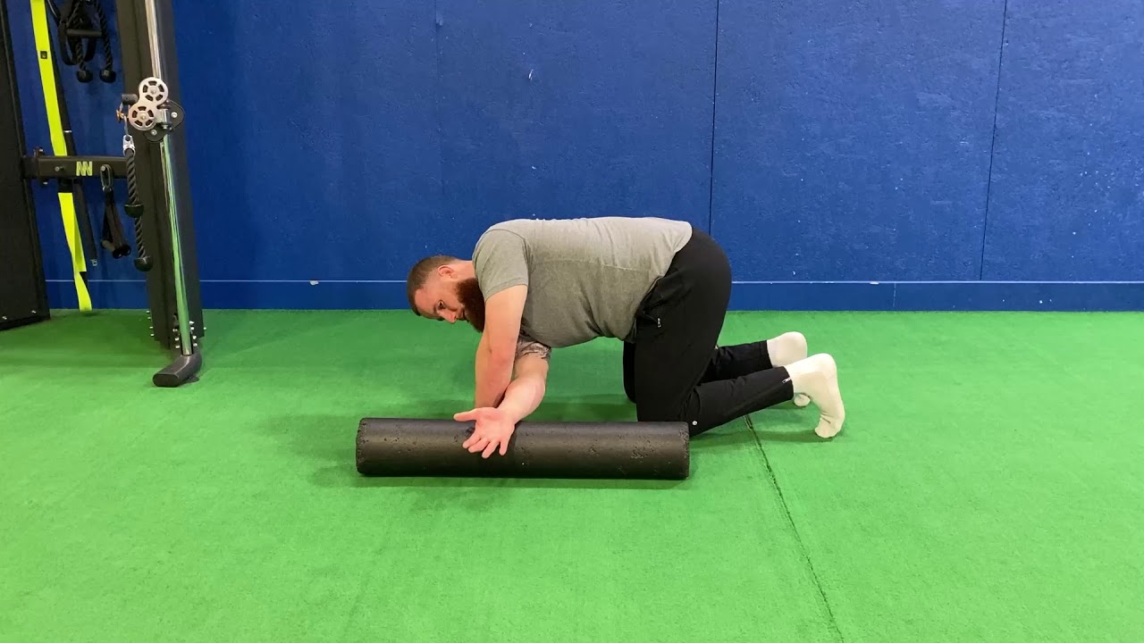 Quadruped Reach Through with Roller