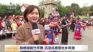 [中国三农报道]广西百色 民俗重头戏 田阳壮族狮舞 | 农业致富经 Agriculture And Farming