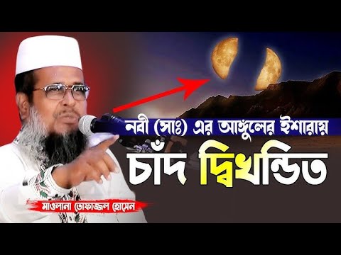 Qul va xojayinning fotosuratlarini koring Masaj shimlarida Rita Shaftoli fotosurati