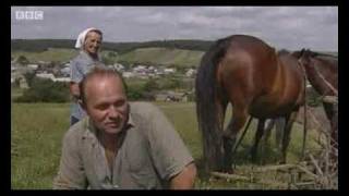 BBC Report on Farmland Investment in the Ukraine