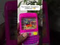 Day minivolg Telugu #games #friends #watergames #minivlog #vlogger #blogs