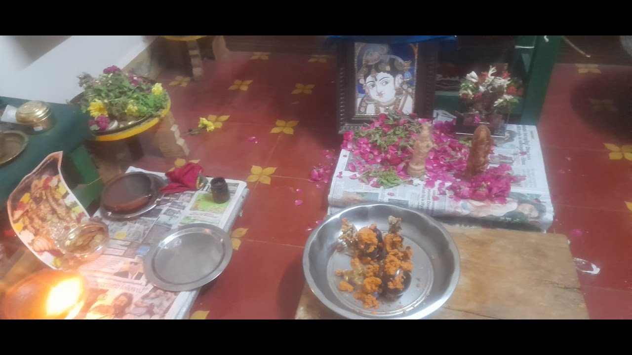 KRISHNA Jayanthi SPECIAL SELFIE VIDEO