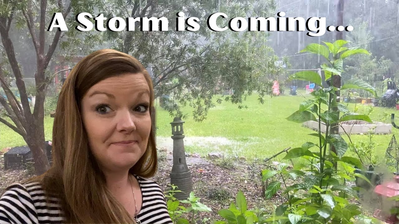 Large Family Vlog || A Storm is Coming... - YouTube