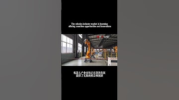 Shandong Kewei palletizing robot Co., LTD #automobile #industrialrobot #machine #handlingrobot