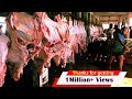Slaughter House Bhains Colony 🥩|🥩 Complete Guide From A to Z | By Animal Point Pk Official