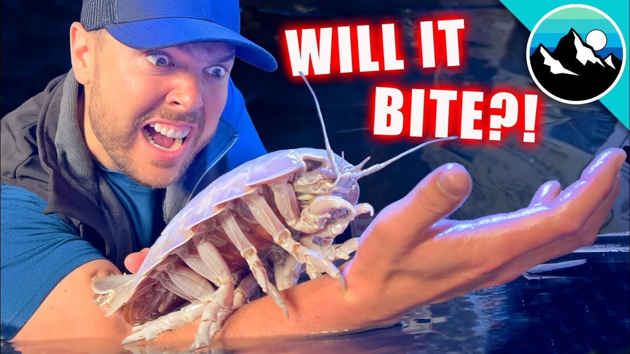 ⁣BITTEN by a DEEP SEA CREATURE?!