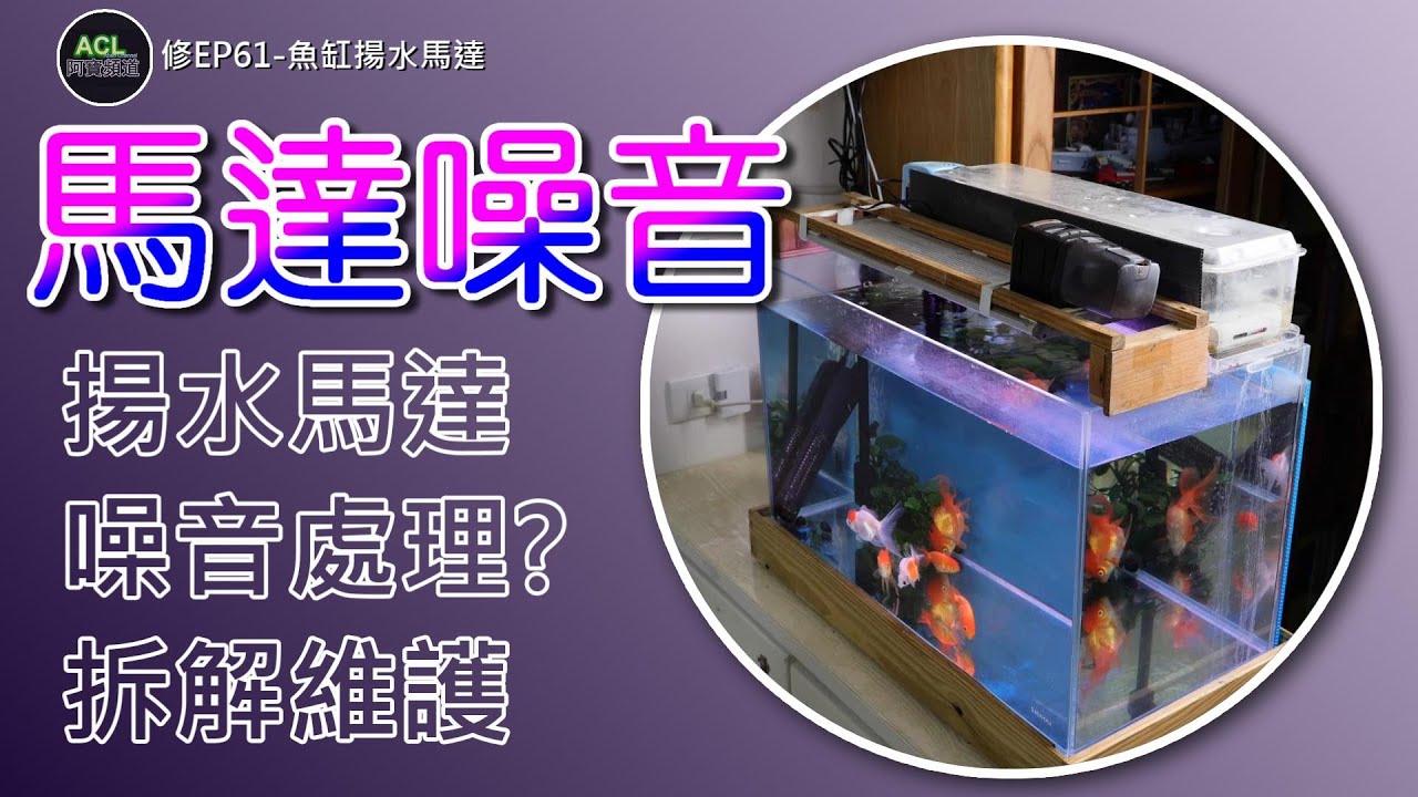 魚缸馬達太吵？DIY維修揚水馬達，降低噪音還能省錢！#魚缸維修 #揚水馬達 #降低噪音#FishTankRepair 阿寶頻道 ACL Abao  修EP61