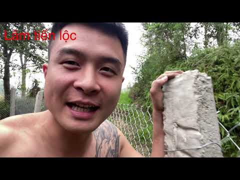 Mô hình nuôi chó thương phẩm tiền tỉ của em