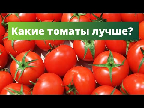 ЛЕТО, ДРЕМЛЮЩЕЕ В БАНКЕ | Сорта томатов для заготовок