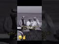 رغم ارتفاع الاسعار للحين باقي ناس رخيصه زي ماهي