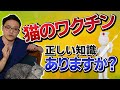 【猫のワクチン】まだ毎年打ってるの？？獣医さんが最新版を紹介