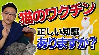 【猫のワクチン】まだ毎年打ってるの獣医さんが最新版を紹介