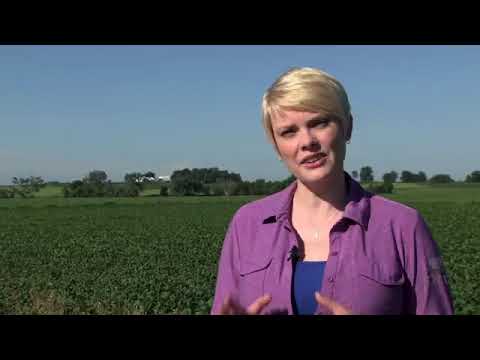 المكافحة المتكاملة 