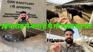 INDIA'S 1st COW SANCTUARY IN MUZAFFARNAGAR WITH HOSPITAL & BIO GAS PLANT