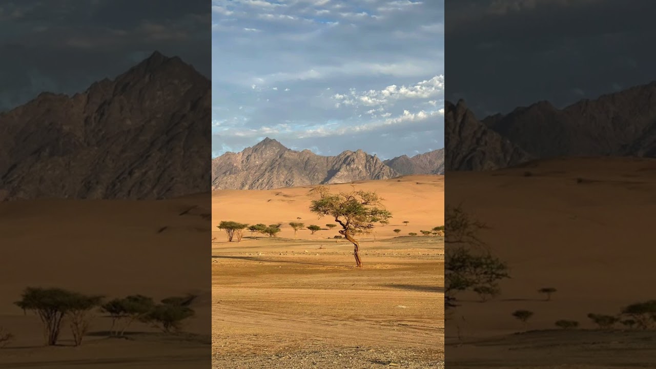 الأرتباط بين البصر والقلب  لشيخ الأسلام بن تيمية