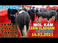 14.MART SHO'RCHI MANA SIZGA XUKZILARINING UDARLARI NASIRLIK BUQA NARXLARI