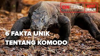6 FAKTA UNIK TENTANG KOMODO, KADAL RAKSASA ASAL INDONESIA