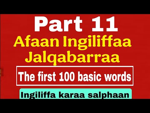 Kutaa 11ffaa Barnoota Afaan Oromoo Fi English Furtuu1