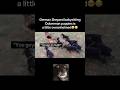 Doberman pups🤣 #fyp #viral #animals #dog #dogs #puppy #cute #pets #fypシ #shorts #ytshorts #yt #aww