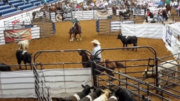 Finais Mundiais Ranch Sorting 2017 - Vídeo 16