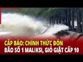 Cp bo chnh thc c bo s 1 maliksi gi git cp 10