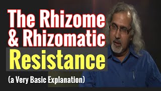 The Rhizome & Rhizomatic Resistance (Deleuze & Guattari): A Very Basic Explanation