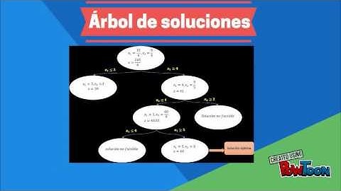 Programación entera