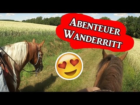 Video: Teufelei Mit Pferden - Alternative Ansicht