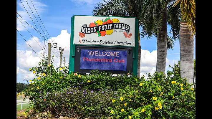 Welcome to Mixon Fruit Farms!