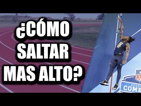 Video: ¿Qué tan alto llega a saltar el laurel?