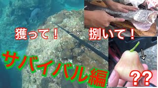【魚突き】ナスDも絶賛!?アジアコショウダイを突いて捌いて…⁇【離島サバイバル編 part1】【マサル】【polespear】 ナスd 検索動画27 【魚突き】ナスDも絶賛!?アジアコショウダイを突いて捌いて…⁇【離島サバイバル編 part1】【マサル】【polespear】 ナスd 検索動画 27