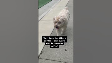 The Simpsons Taught Me… Marriage & Kids 🐶 @TheJessiiShow #TheManniiShow.com/series