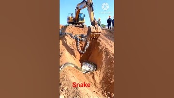Snake Video | JCB Excavator Machine | Loader Work #shorts #snake #jcbbackhoes #excavetor #jcb