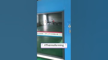 Inside the Molding Process: Crafting Thermoformed Products