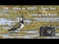 Om1 field test  4k 60fps  creating slow motion in post production