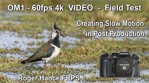 OM1 -Field Test - 4k 60fps Video - Creating Slow Motion in Post Production
