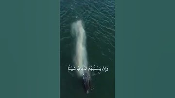 سعادة الروح بترتيل جميل وخشوع  للقارئ: بدر التركي حفظه الله.