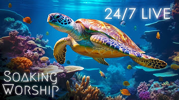 24/7 Instrumental Soaking Worship Music, Time in His Presence, Time with the Holy Spirit, Prayer