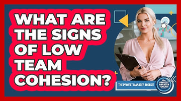 What Are The Signs Of Low Team Cohesion?