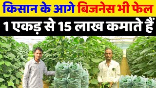 पॉलीहाउस में खीरे की खेती | polyhouse farming in india | polyhouse me kheera ki kheti