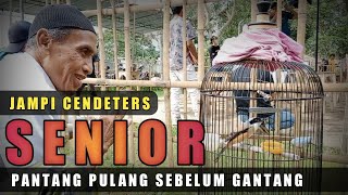 Cendeters Gaek | Cendet Pilis Sangkar Bulat plus Jampi | Rawatan sebelum gantang