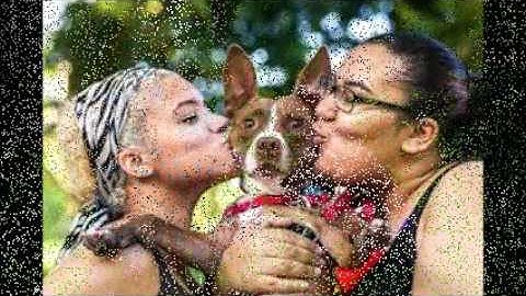 10th grade service learning Project - 2016