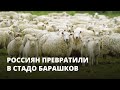 Россиян превратили в стадо баранов