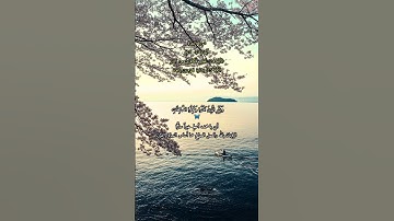 من سورة البقرة 🤍🦋 للشيخ مشاري راشد العفاسي