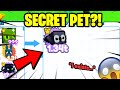 OMG! 😲 GOT THE NEW SECRET PET... SUPER EASY! New Pogcat? | Pet Simulator X