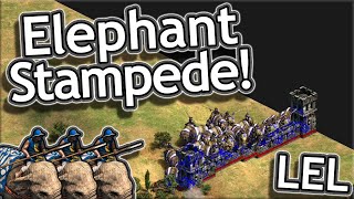 ELEPHANT STAMPEDE (Low Elo Legends)