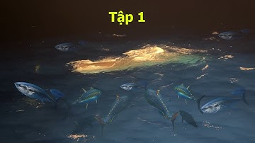 Lưới rút đêm Quảng Nam 91944 bất ngờ cá ông đến kéo theo hàng nghàn con cá ngừ theo tập 2  Dân Biển