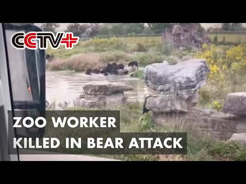 Shanghai Zoo Worker Killed in Bear Attack