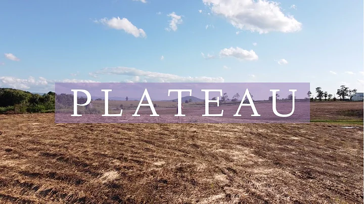 Lyss Quintana - Plateau (Official Music Video)