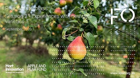 Pear Masterclass Session 2 – Experiences with new pear varieties